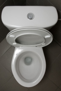 toilet Istvan Benedek
